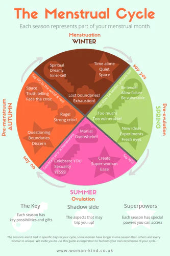 Menstrual Cycle Chart