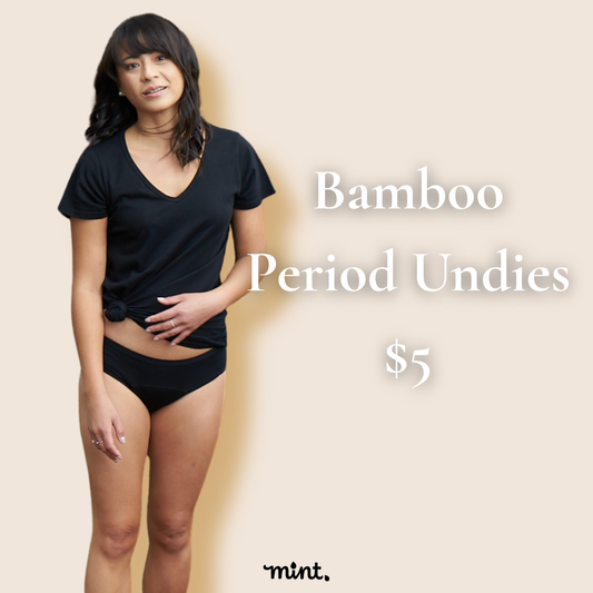 Bamboo Hipster Period Underwear | Regular Flow