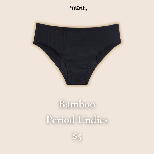 Bamboo Hipster Period Underwear | Regular Flow